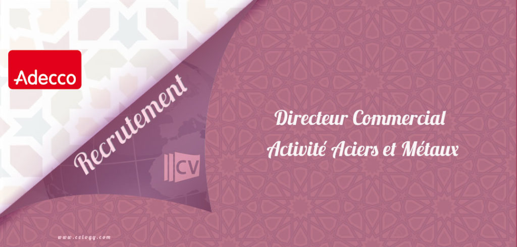 Directeur Commercial activité Aciers et Métaux