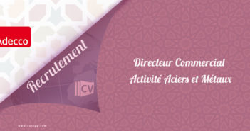 Directeur Commercial activité Aciers et Métaux