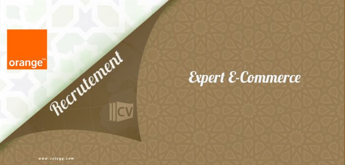 Expert E-Commerce