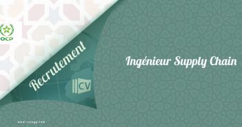 Ingénieur Supply Chain