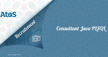 Consultant Java PLSQL