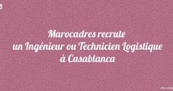 Ingénieur ou Technicien Logistique