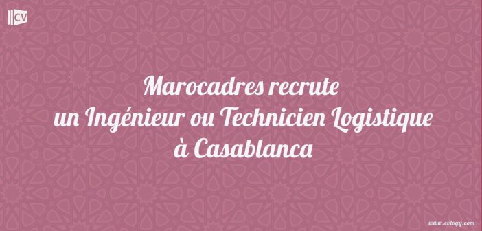 Ingénieur ou Technicien Logistique