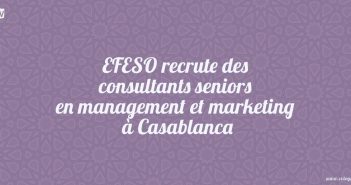 EFESO recrute des consultants seniors en management et marketing à Casablanca