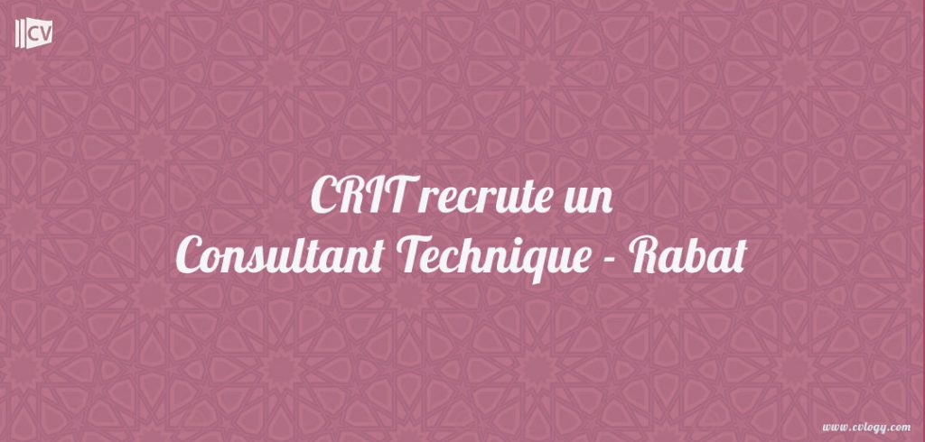 CRIT recrute un Consultant Technique
