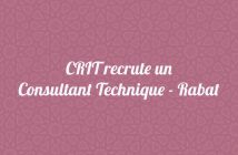 CRIT recrute un Consultant Technique