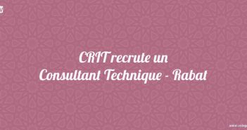 CRIT recrute un Consultant Technique