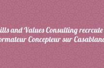 Skills and Values Consulting recrute