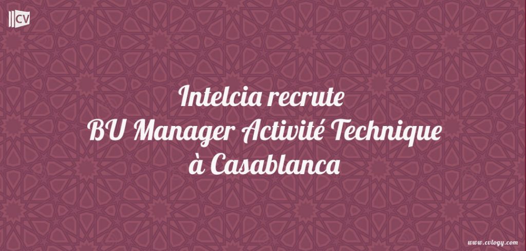 BU Manager Activité Technique