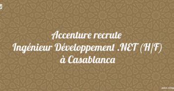 Ingénieur Développement .NET (H/F)