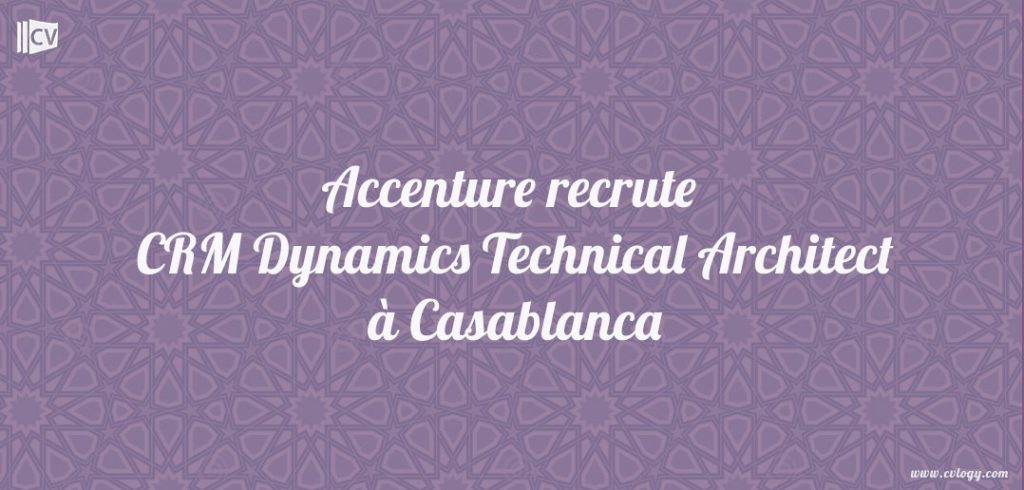 CRM Dynamics Technical Architect
