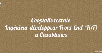 Ingénieur développeur Front-End (H/F)