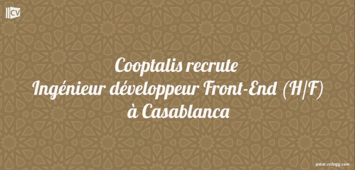 Ingénieur développeur Front-End (H/F)