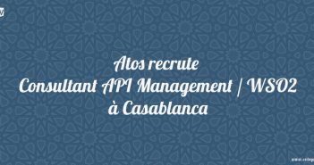 Consultant API Management / WSO2