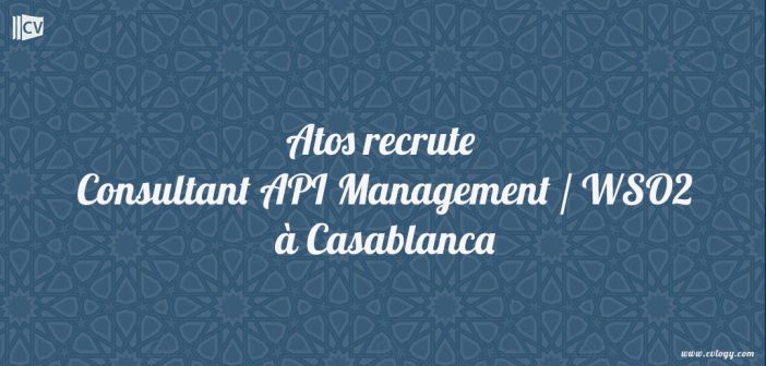 Consultant API Management / WSO2