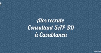 Consultant SAP SD