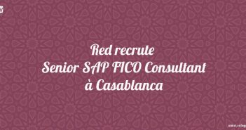 Senior SAP FICO Consultant