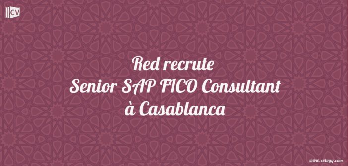 Senior SAP FICO Consultant