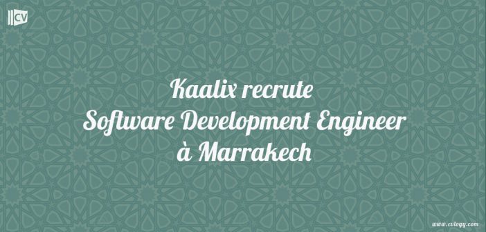 Software Development Engineer