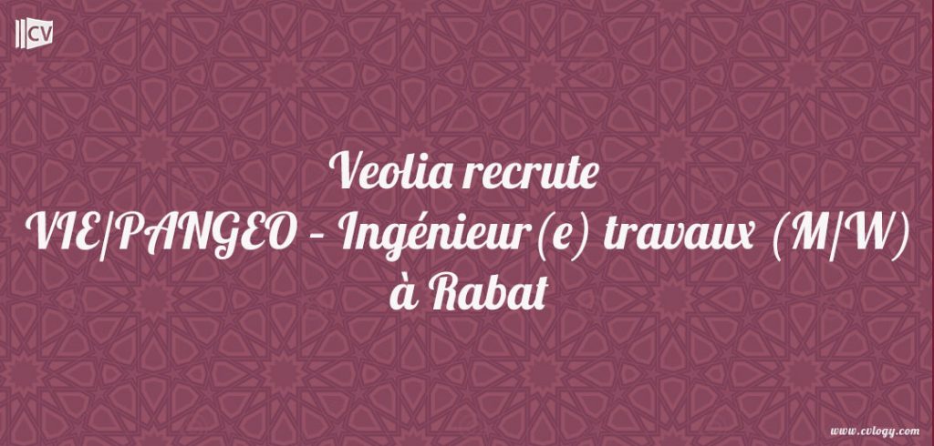VIE/PANGEO – Ingénieur(e) travaux (M/W)
