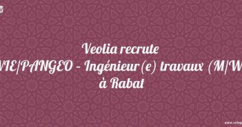 VIE/PANGEO – Ingénieur(e) travaux (M/W)