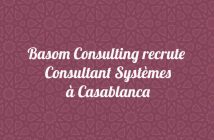 Consultant Systèmes