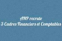 ANP recrute 3 Cadres Financiers et Comptables