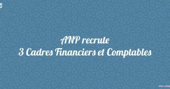 ANP recrute 3 Cadres Financiers et Comptables