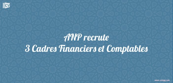 ANP recrute 3 Cadres Financiers et Comptables