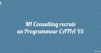 MI Consulting recrute un Programmeur CATIA V5