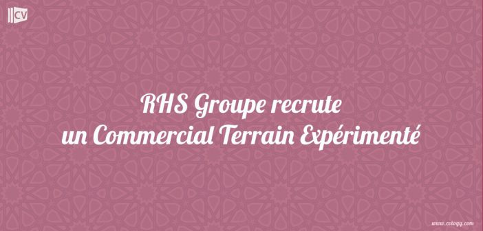 RHS Groupe recrute un Commercial Terrain Expérimenté