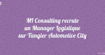MI Consulting recrute