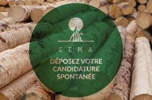 Cema Bois de l'Atlas