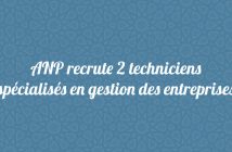 2 techniciens spécialisés en gestion des entreprises