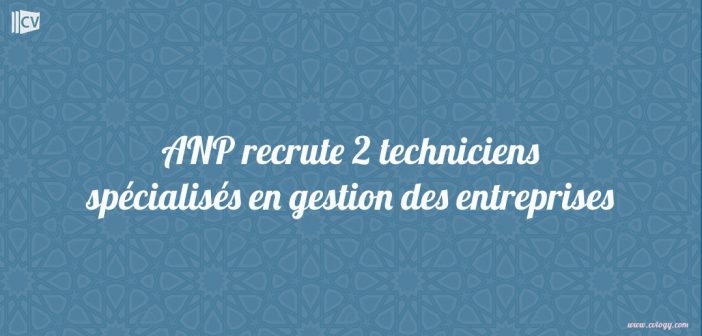 2 techniciens spécialisés en gestion des entreprises