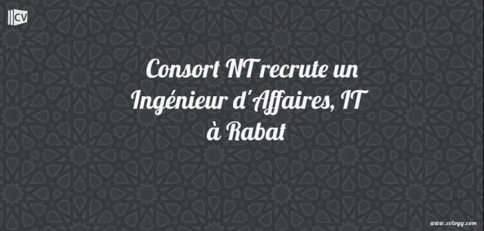 Ingénieur-Affaires-IT