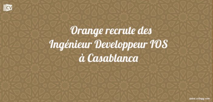 Ingénieur Developpeur IOS