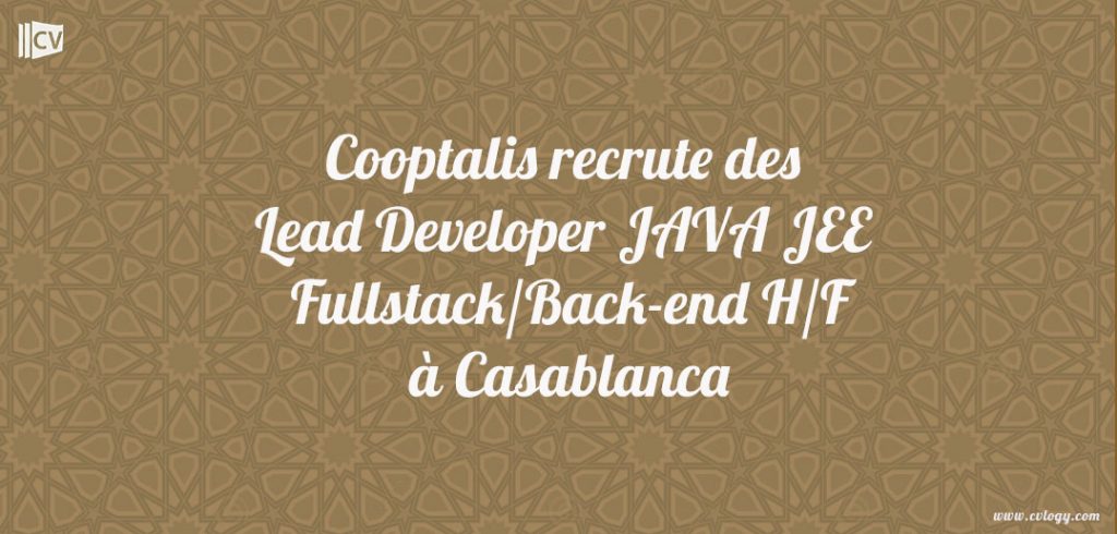 Lead Developer JAVA JEE Fullstack/Back-end H/F