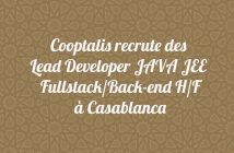 Lead Developer JAVA JEE Fullstack/Back-end H/F