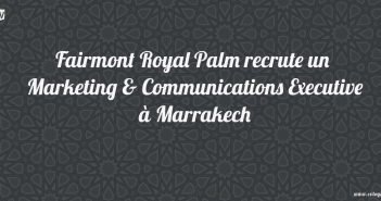 marketing-and-communication-executive