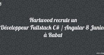 Développeur Fullstack C# / Angular 8 Junior