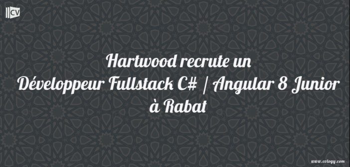 Développeur Fullstack C# / Angular 8 Junior