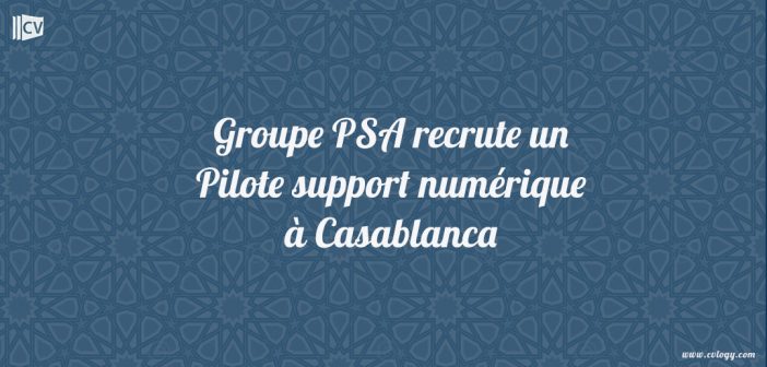 Pilote support numérique