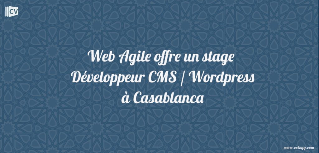 Développeur CMS / Wordpress