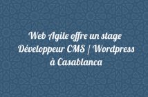 Développeur CMS / Wordpress