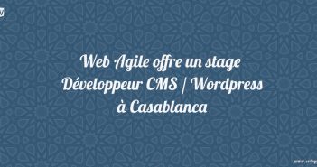 Développeur CMS / Wordpress