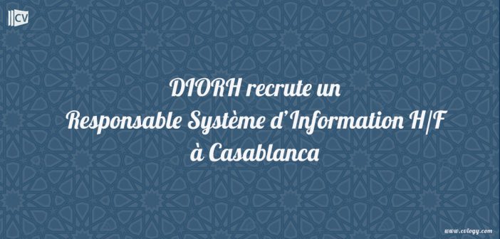 Responsable Système d’Information H/F