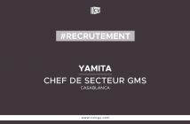 CHEF DE SECTEUR GMS