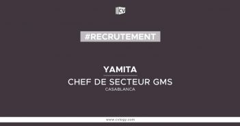 CHEF DE SECTEUR GMS