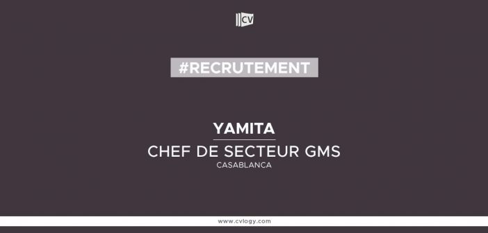 CHEF DE SECTEUR GMS